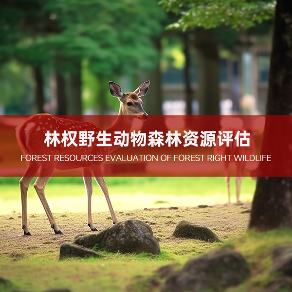 林权野生动物森林资源评估 