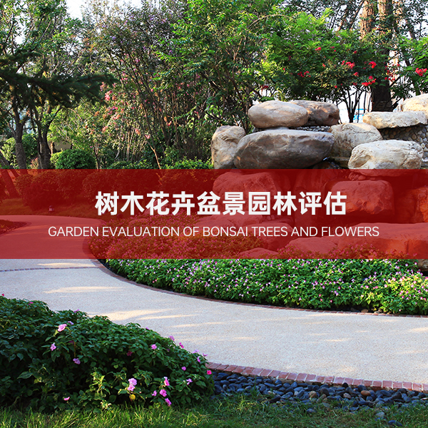 树木花卉盆景园林评估 